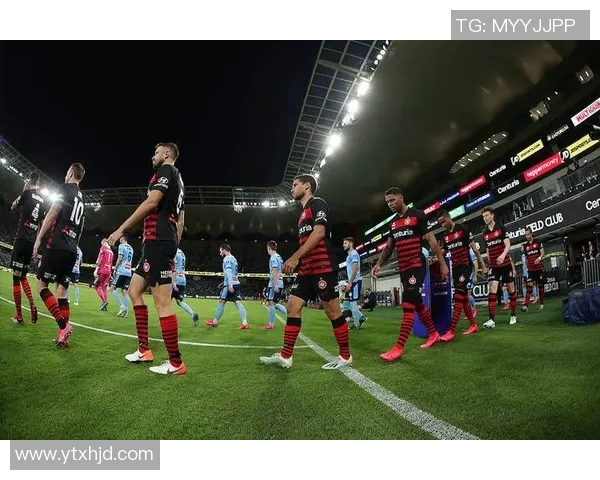 2017年西悉尼对阵惠灵顿精彩赛事回顾与分析